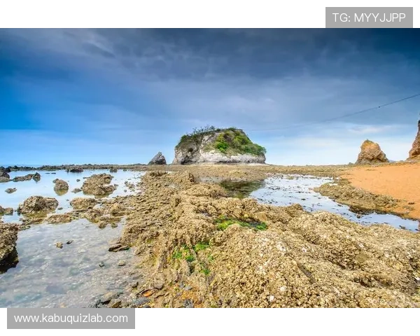 森林舞会的视觉效果设计详解带来令人惊叹的自然风光与丰富的动画效果体验